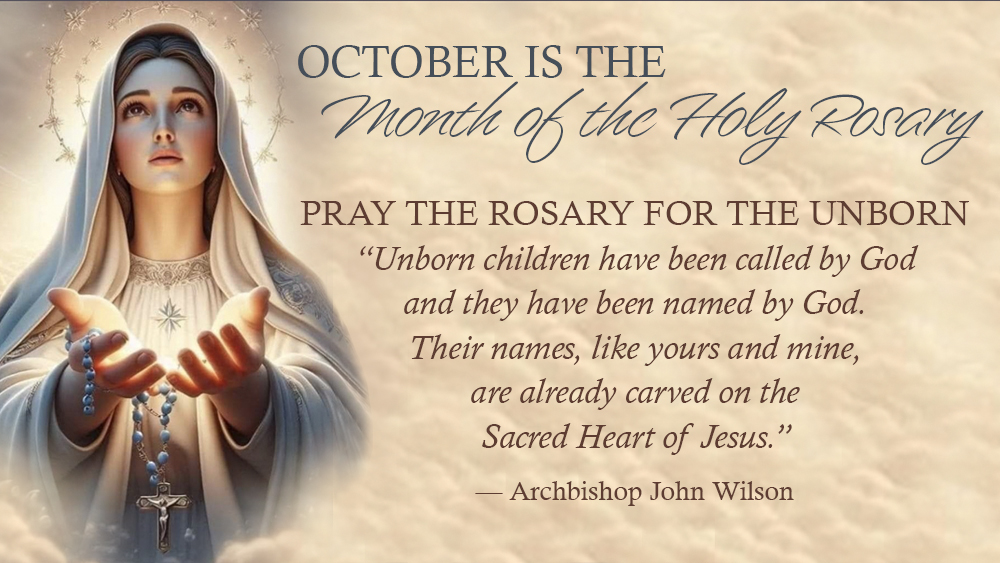 October is the Month of the Holy Rosary ~ Week #3
