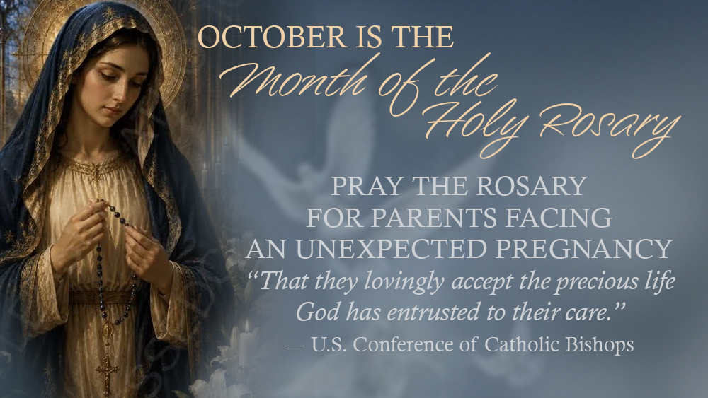 October is the Month of the Holy Rosary ~ Week #4