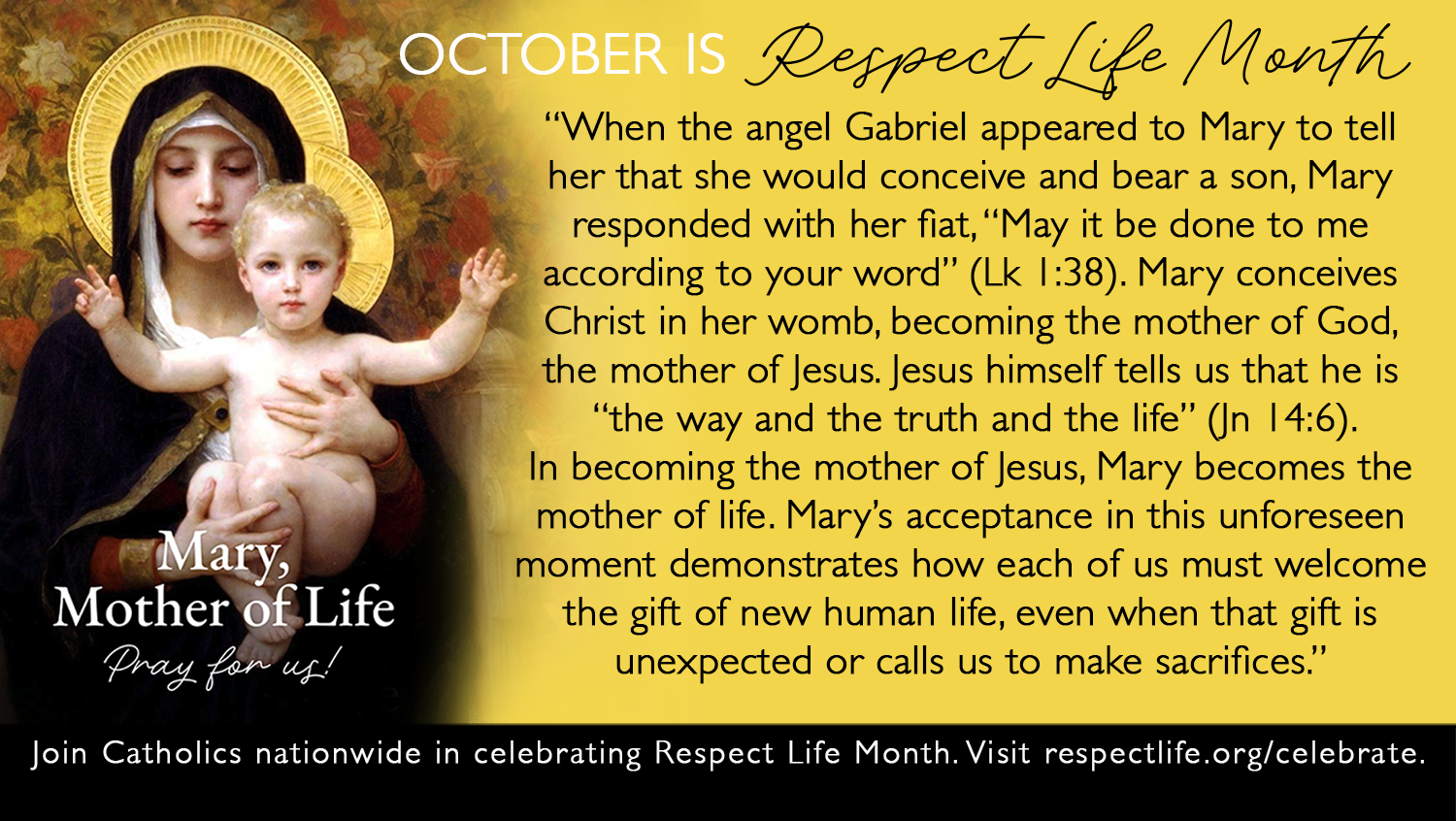 October is Respect Life Month ~ Week #1