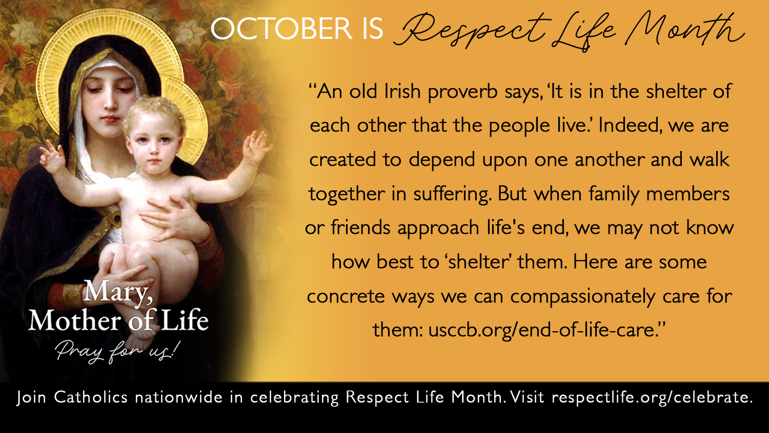 October is Respect Life Month ~ Week #2