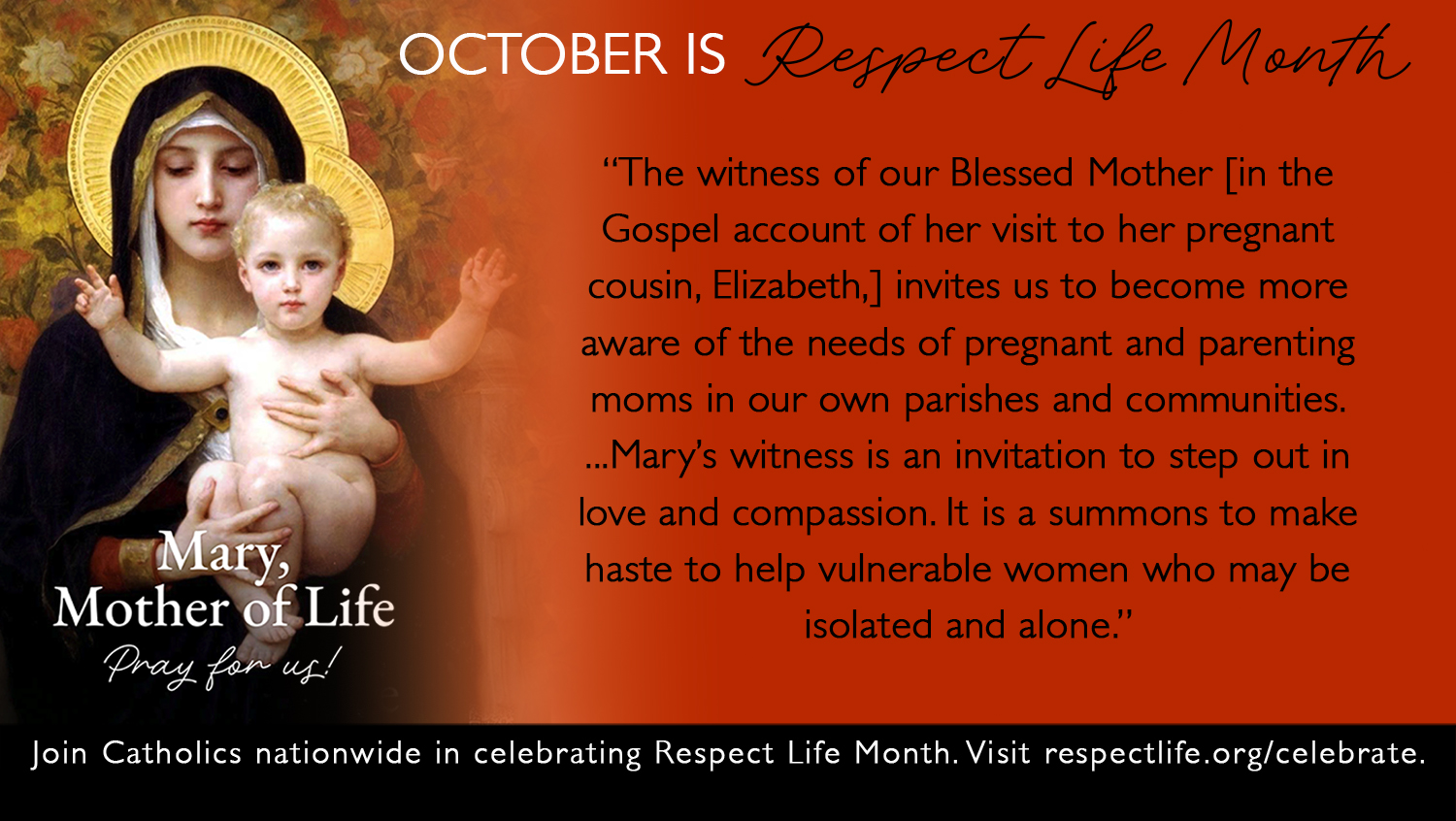 October is Respect Life Month ~ Week #4
